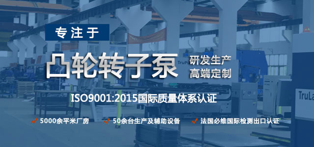 凸輪轉(zhuǎn)子泵生產(chǎn)廠家，專注于凸輪轉(zhuǎn)子泵的研發(fā)生產(chǎn)，高端定制